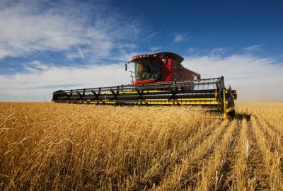 modern combine harvester working on a wheat crop